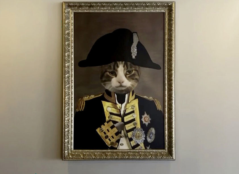 Luther, Windmill Brewery house cat